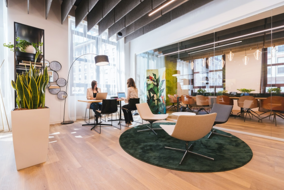 office rooming 5